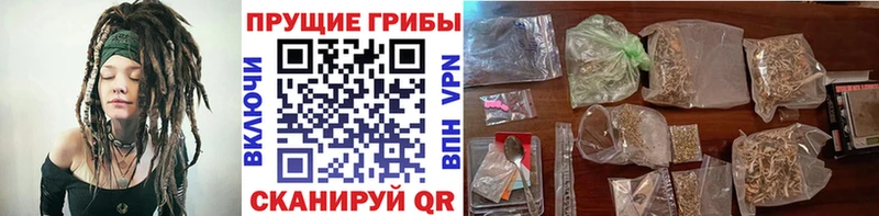 где можно купить   Белая Холуница  Галлюциногенные грибы GOLDEN TEACHER 
