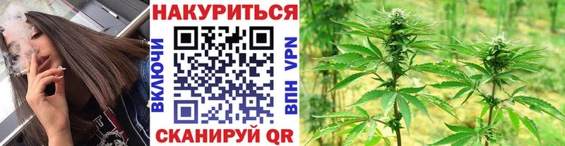 где найти   Белая Холуница  mega вход  Конопля марихуана 